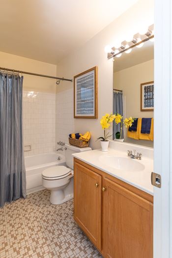 Elegant Bathroom at McDonogh Village Apartments & Townhomes, Randallstown, MD, 21133